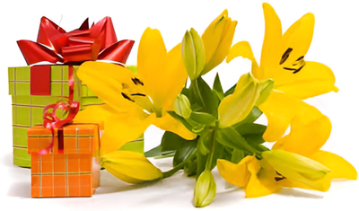 Gift of Bouquet flowers (#1151)  "Picture Shown Largest Size"